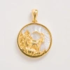Freya Rose Zodiac Pendant In Capricorn