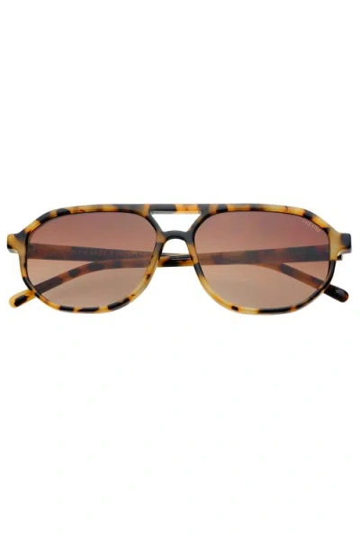Freyrs Eyewear Fenix Aviator Sunglasses In Brown