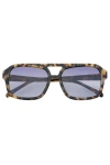 Freyrs Eyewear Havana Aviator Sunglasses In Brown