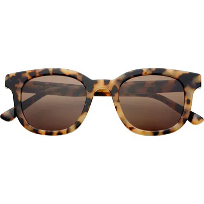 Freyrs Eyewear Jasper Round Sunglasses In Brown