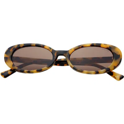Freyrs Eyewear Mimi Small Oval Sunglasses In Brown