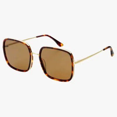 Freyrs Eyewear Women's Cosmo Acetate Square Sunglasses In Dark Tortoise In Brown