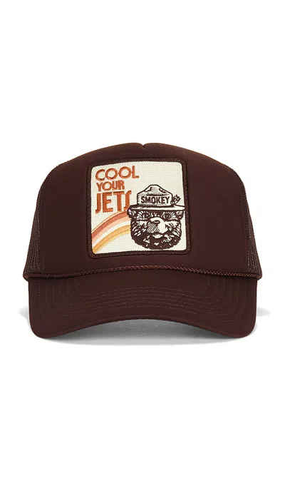 Friday Feelin Cool Your Jets Hat In Brown