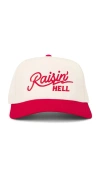 Friday Feelin Raisin Hell Hat In White