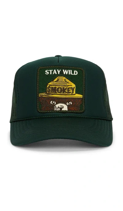Friday Feelin Stay Wild Hat In Green
