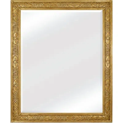 Friedman Brothers Delahanty Traditional Beveled Accent Mirror In Gold