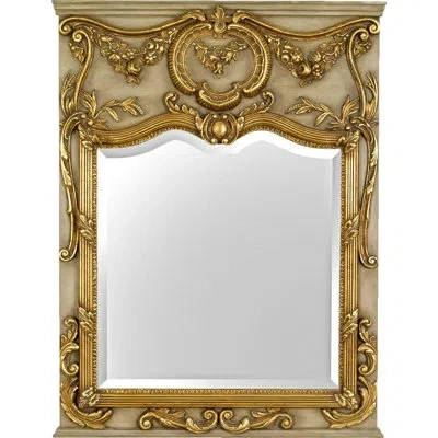 Friedman Brothers Fontainebleau Traditional Beveled Accent Mirror In Gold