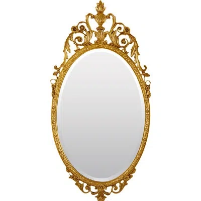 Friedman Brothers Louis Traditional Beveled Accent Mirror In Gold