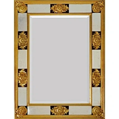 Friedman Brothers The Aspen House Traditional Beveled Accent Mirror