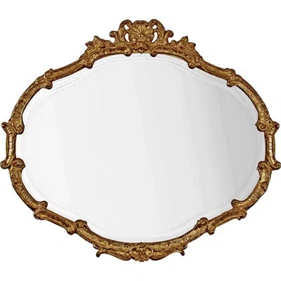 Friedman Brothers The Delanois Regence Traditional Beveled Accent Mirror In Gold