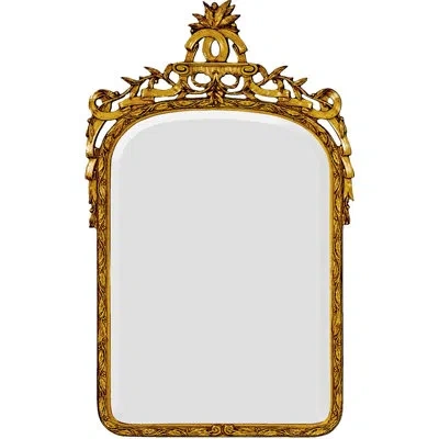 Friedman Brothers The Desiree Traditional Beveled Accent Mirror In Gold