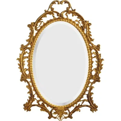 Friedman Brothers The Parisienne Traditional Beveled Accent Mirror In Gold