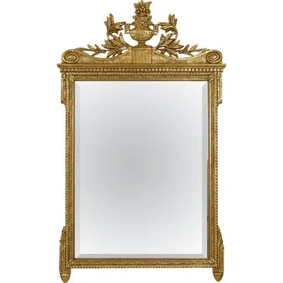 Friedman Brothers The Rolande Traditional Beveled Accent Mirror In Gold