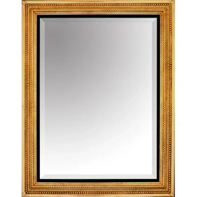 Friedman Brothers Traditional Beveled Accent Mirror In Gold