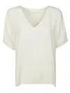 Friedman Camicia