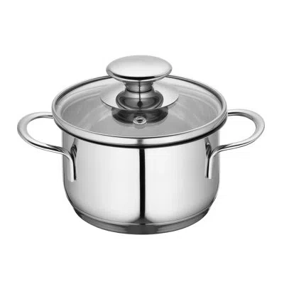 Frieling Küchenprofi Stainless Steel Stock Pot With Lid In Silver