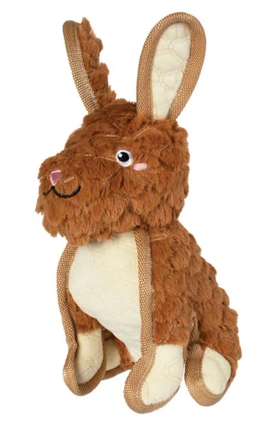 Fringe Studio Ear To Be Hoppy Durable Dog Toy