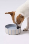 Fringe Studio Rounded Scallop Pet Bowl In White