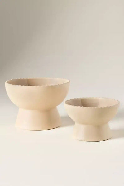 Fringe Studio Scalloped Edge Stone Raised Feeder Pet Bowl In Neutral