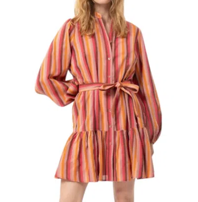 Frnch Alizze Dress In Gold In Pink