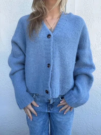 Frnch Bichon Cardigan In Blue