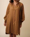Frnch Carene Linen Buttoned Mini Dress In Brown In Brown