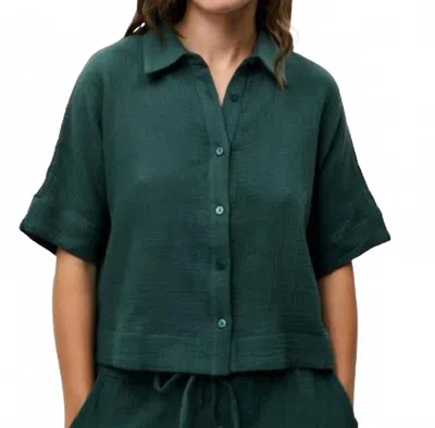 Frnch Lahna Blouse In Moss Green