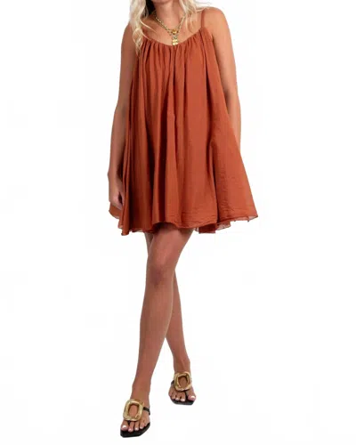 Frnch Nihed Dress In Brique In Brown