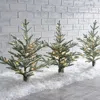 Frontgate 2 Ft. Flocked Fraser Pathway Trees, Set Of Three