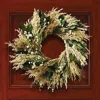 FRONTGATE BASIL TRANQUILITY WREATH