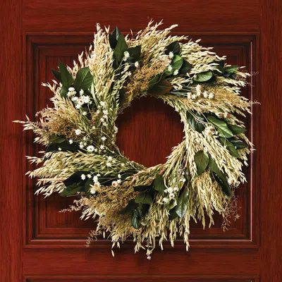 Frontgate Basil Tranquility Wreath In Multi