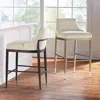 Frontgate Bianca Bar & Counter Stools