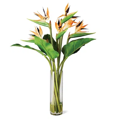 Frontgate Bird Of Paradise In Vase In Green