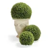 Frontgate Boxwood Greenery Balls