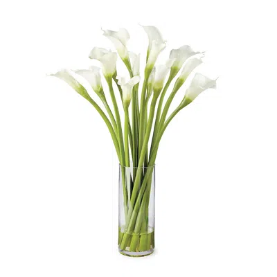 Frontgate Calla Lily In Cylinder In Neutral