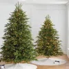 Frontgate Carolina Fraser Fir Quick Light Tree