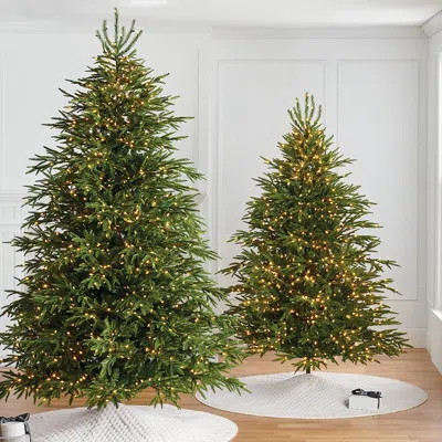 Frontgate Carolina Fraser Fir Quick Light Tree In Green
