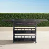 Frontgate Chef Symon Bar Cart