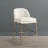 Frontgate Collette Counter Stool