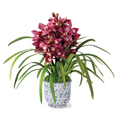 Frontgate Cymbidium Orchid In Cache Pot In Multi