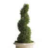 Frontgate Cypress Spiral Topiary