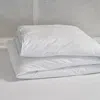 Frontgate Down Duvet Insert