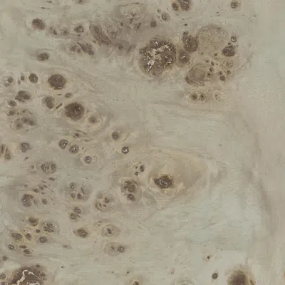 Frontgate Fawn Burl Wood Finish In Green