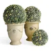 Frontgate Freshly Fallen Led Boxwood Ball