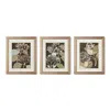 Frontgate Graphic Foliage Giclee Prints