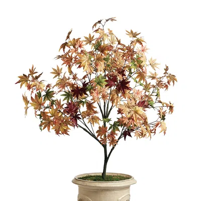 Frontgate Indoor/outdoor 5 Ft. Maple Tree In Multi