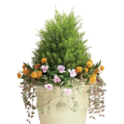 Frontgate Indoor/outdoor Cypress Floral Urn Filler