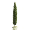 Frontgate Indoor/outdoor Cypress Tree
