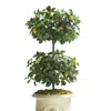 Frontgate Indoor/outdoor Double Ball Lemon Topiary