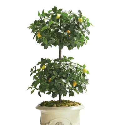 Frontgate Indoor/outdoor Double Ball Lemon Topiary